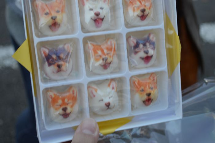 f:id:k9352009:20181121103951j:image f:id:k9352009:20181121103951j:image