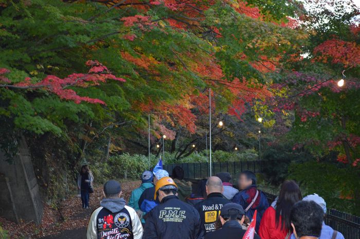 f:id:k9352009:20181121111128j:image f:id:k9352009:20181121111128j:image