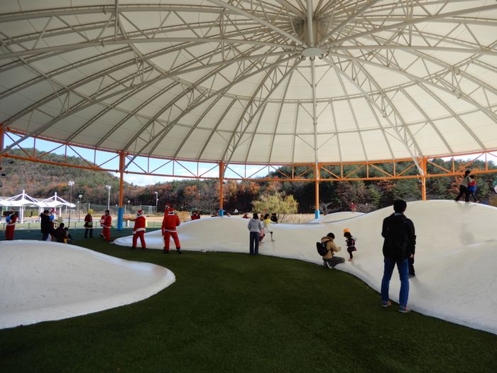 f:id:k9352009:20181208091119j:image