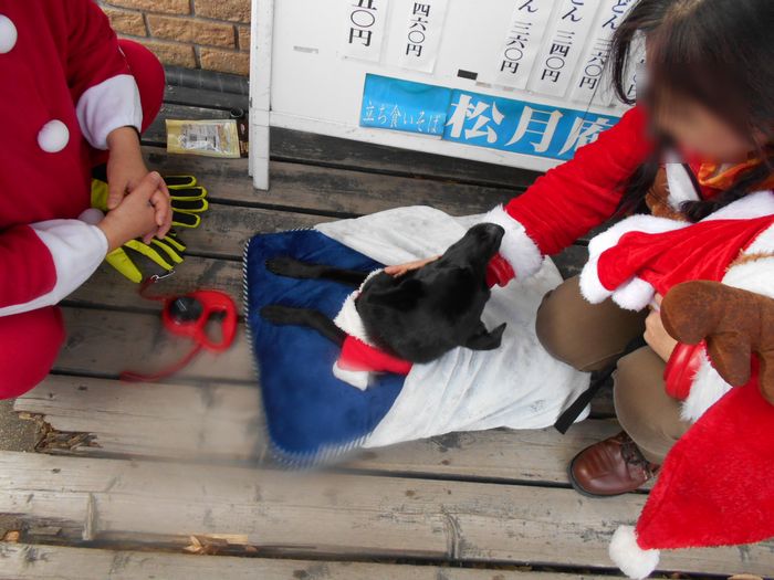 f:id:k9352009:20181210104445j:image