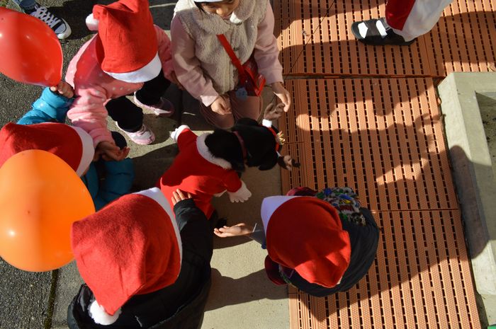 f:id:k9352009:20181210113533j:image