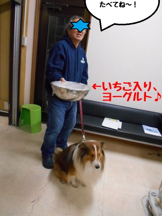 f:id:k9352009:20181211102056j:image