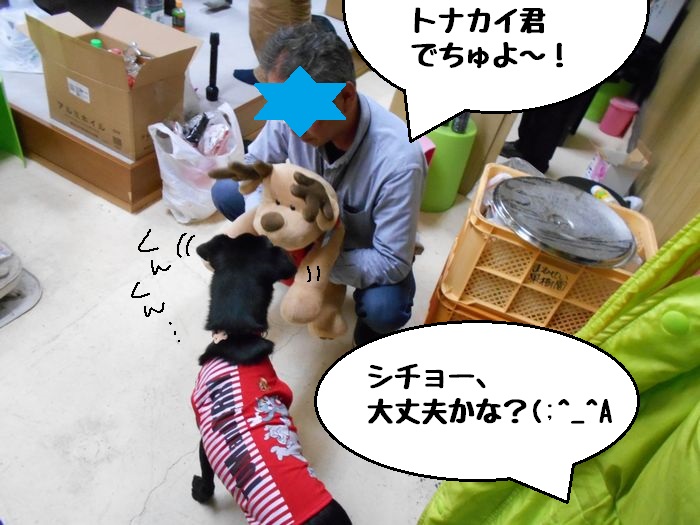f:id:k9352009:20181211111845j:image