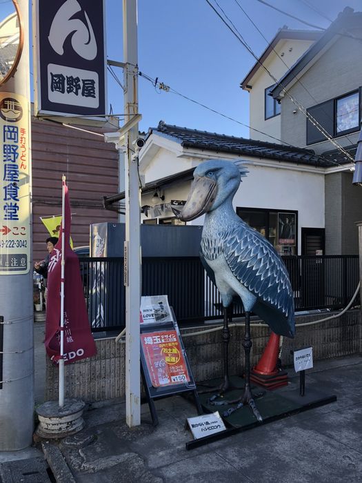 f:id:k9352009:20190110113012j:image f:id:k9352009:20190110113012j:image
