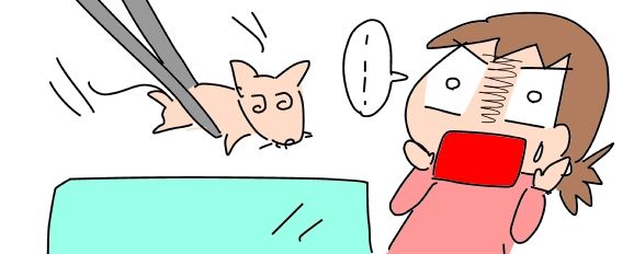 f:id:k9352009:20190116123828j:image