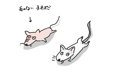 f:id:k9352009:20190116123831j:image