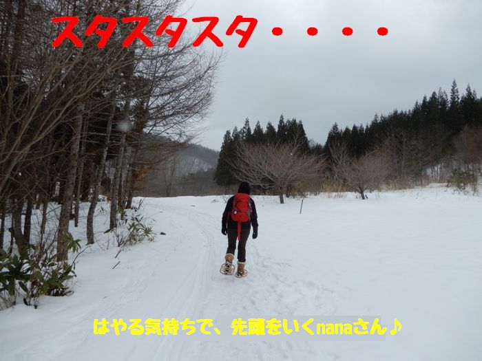f:id:k9352009:20190207114642j:plain