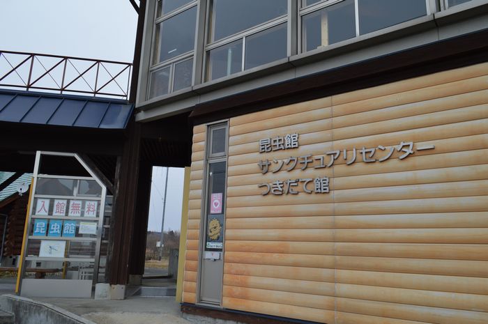 f:id:k9352009:20190212102240j:plain