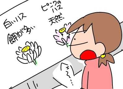 f:id:k9352009:20190212125031j:plain