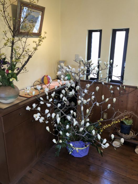 f:id:k9352009:20190220090921j:plain