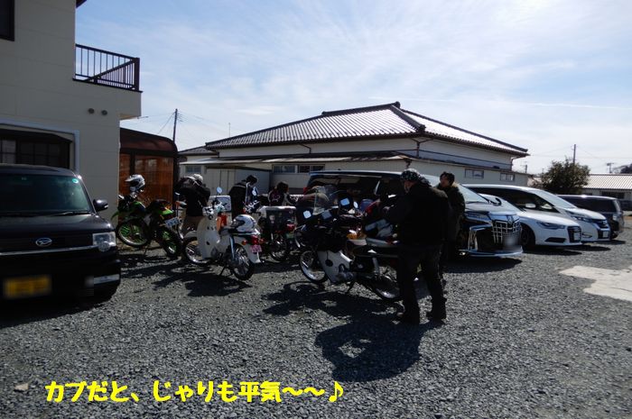 f:id:k9352009:20190314100602j:plain