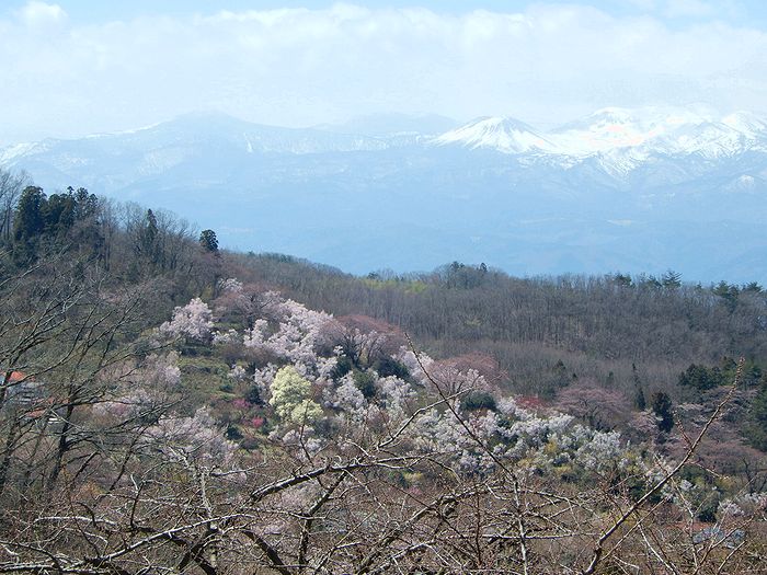 f:id:k9352009:20190410071853j:plain