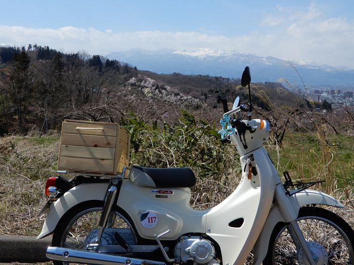 f:id:k9352009:20190410071939j:plain