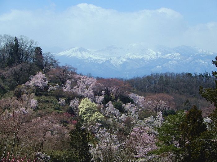 f:id:k9352009:20190410072012j:plain