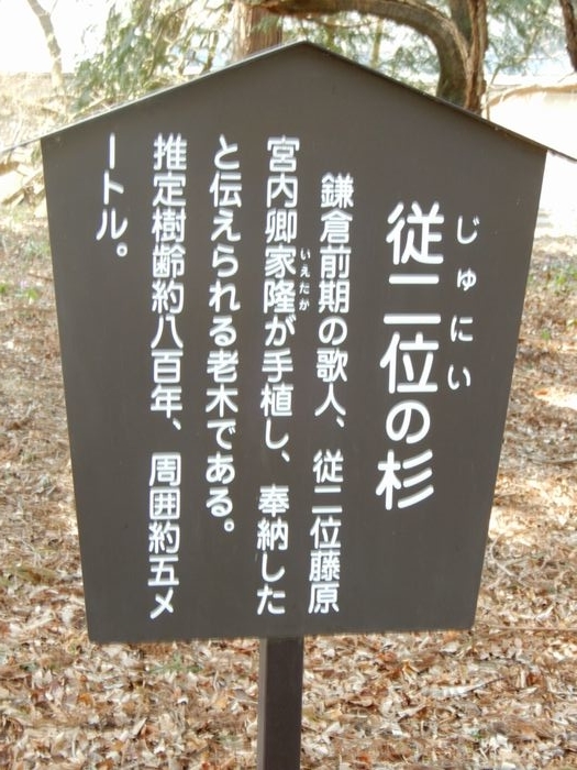 f:id:k9352009:20190411084330j:plain