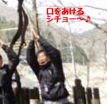 f:id:k9352009:20190411104420j:plain