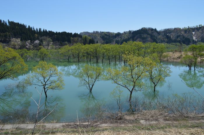 f:id:k9352009:20190514092400j:plain