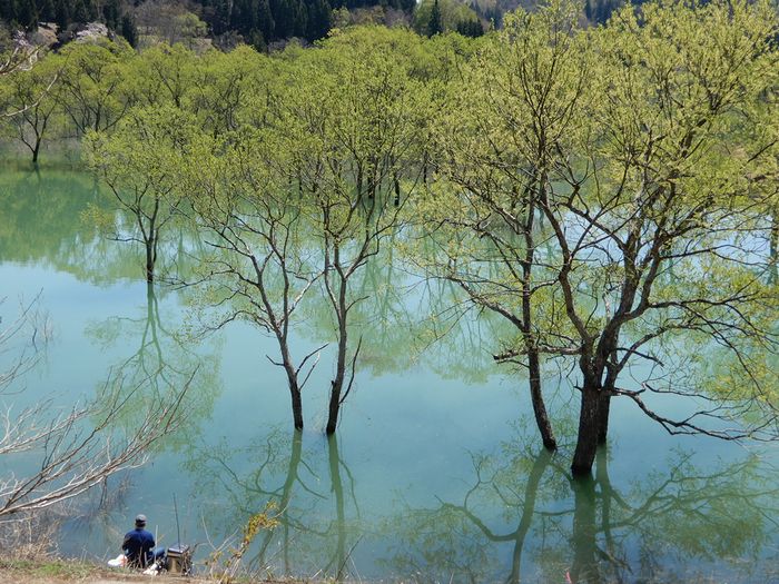 f:id:k9352009:20190514092442j:plain