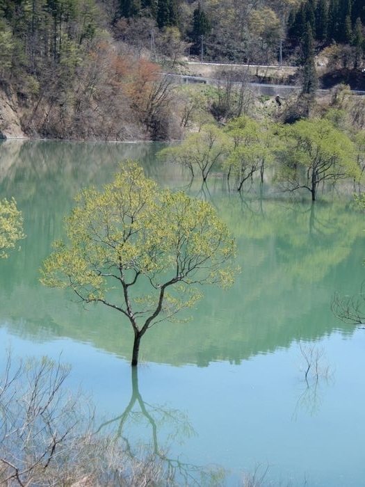 f:id:k9352009:20190514092550j:plain