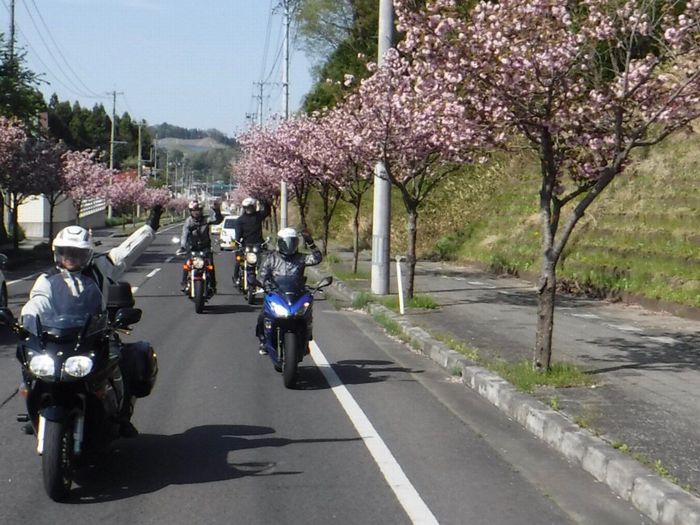 f:id:k9352009:20190516101627j:plain