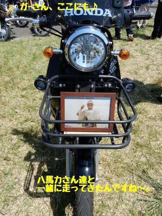f:id:k9352009:20190523113753j:plain