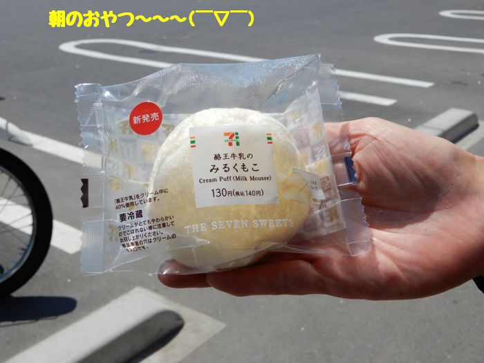 f:id:k9352009:20190604100156j:plain