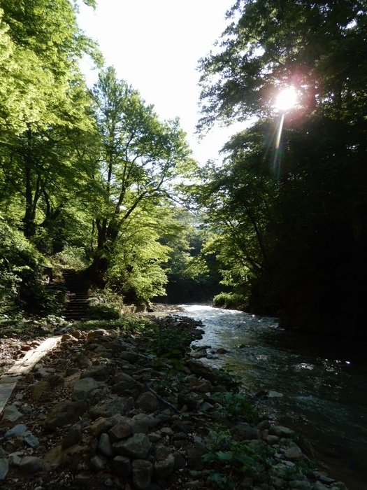 f:id:k9352009:20190604105104j:plain