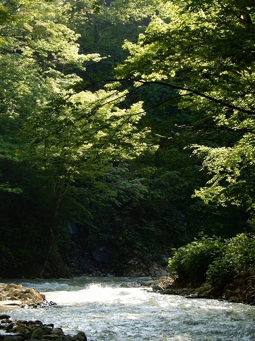 f:id:k9352009:20190604105230j:plain