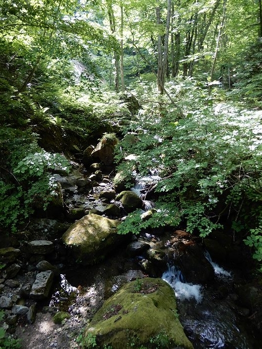 f:id:k9352009:20190612100435j:plain