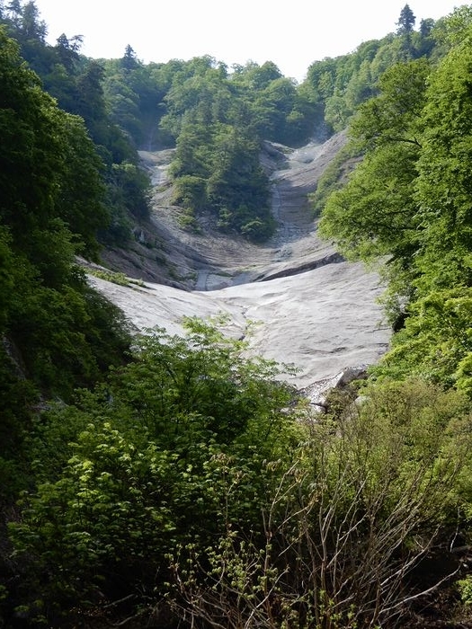 f:id:k9352009:20190612102804j:plain