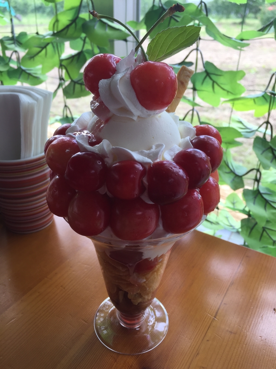 f:id:k9352009:20190617113403j:plain