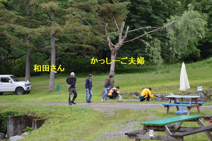 f:id:k9352009:20190618102231j:plain