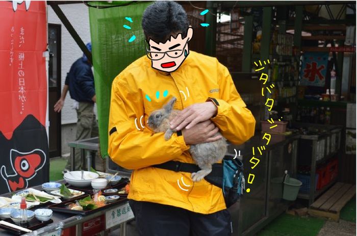 f:id:k9352009:20190618115325j:plain