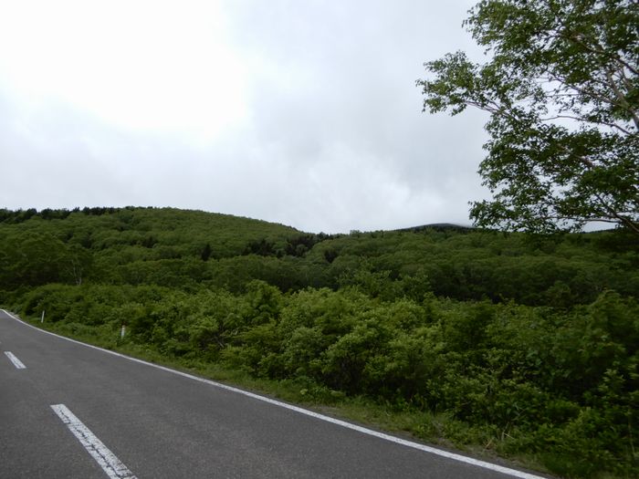 f:id:k9352009:20190702234338j:plain