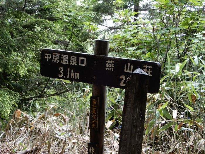 f:id:k9352009:20190721234642j:plain