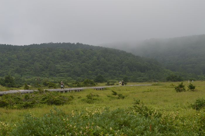 f:id:k9352009:20190916100823j:plain