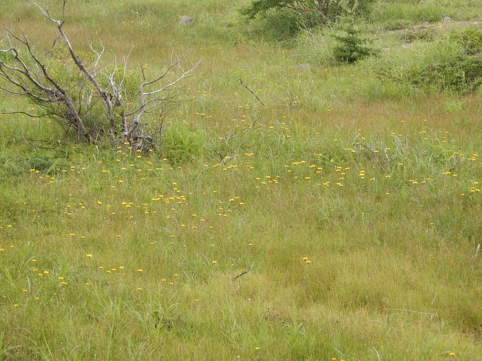 f:id:k9352009:20190916100849j:plain