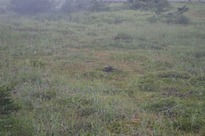 f:id:k9352009:20190916103056j:plain