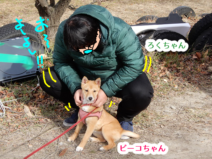 f：id：k9352009：20200116094843j：plain
