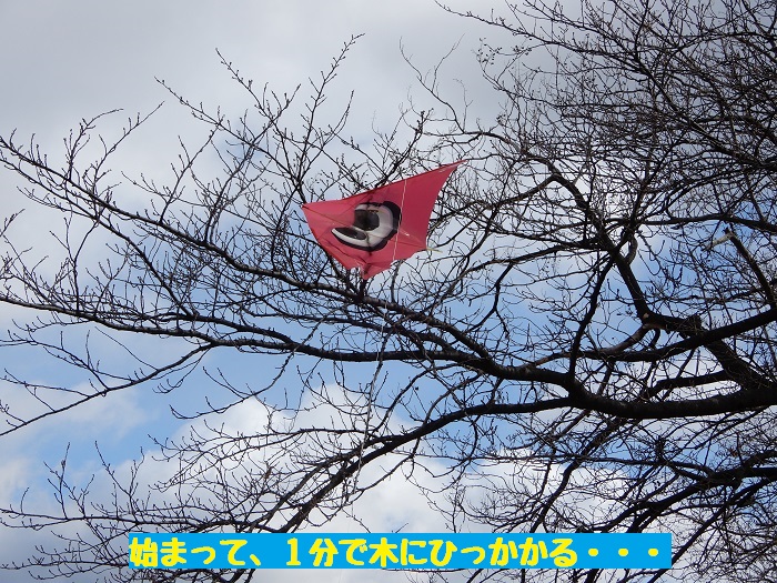f:id:k9352009:20200116100150j:plain