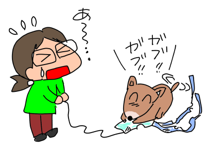 f:id:k9352009:20200116130716p:plain