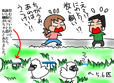 f:id:k9352009:20200421114207p:plain