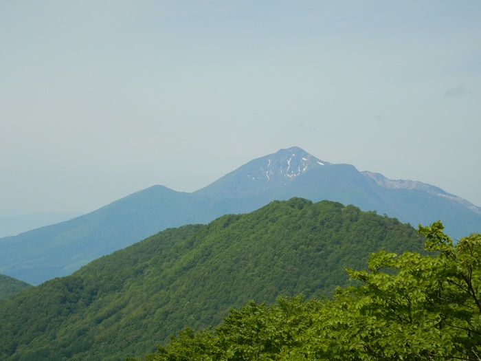 f:id:k9352009:20200605095220j:plain