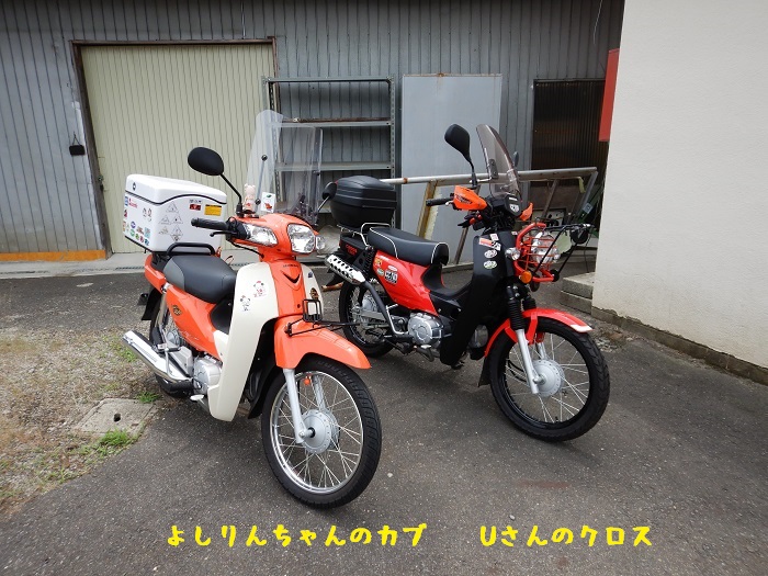 f:id:k9352009:20200615095303j:plain