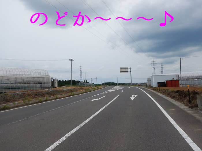 f:id:k9352009:20200625085121j:plain