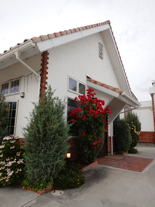 f:id:k9352009:20200625085621j:plain