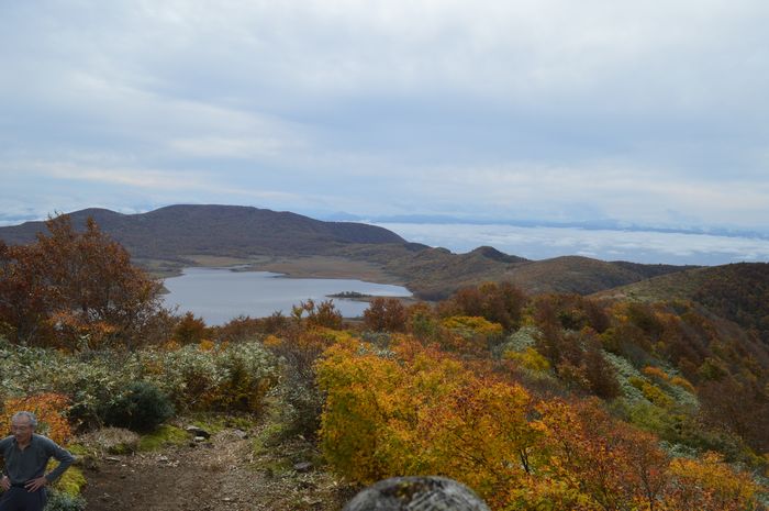 f:id:k9352009:20201022115634j:plain