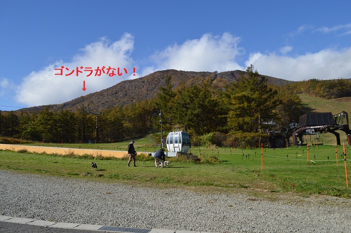 f:id:k9352009:20201027092755j:plain
