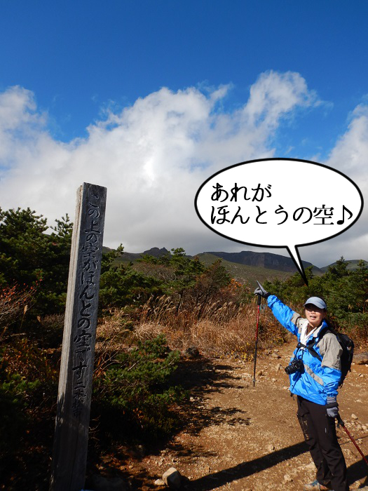 f:id:k9352009:20201027101856j:plain