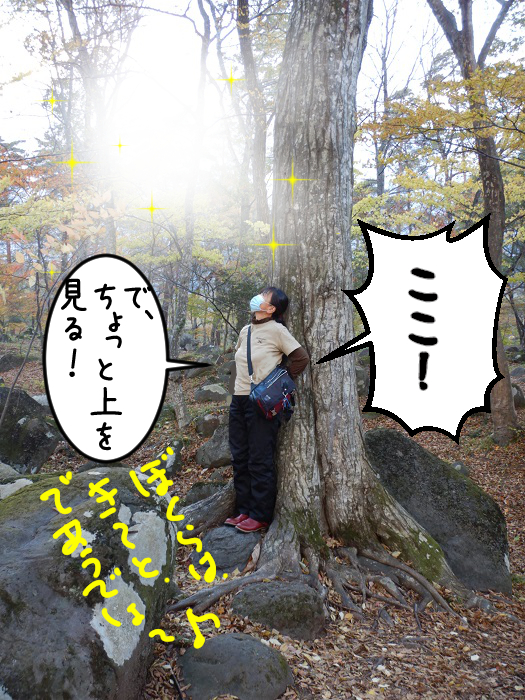 f:id:k9352009:20201117105935j:plain